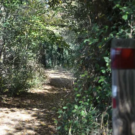 Casa Emma Villamarciel