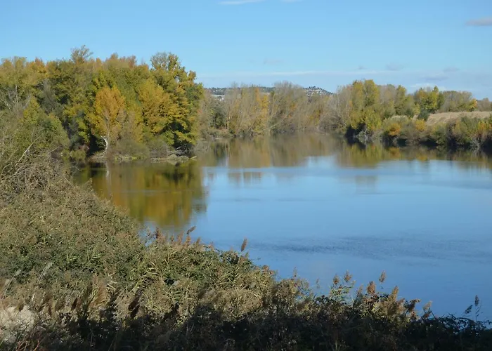 Casa Emma 펜션 Villamarciel