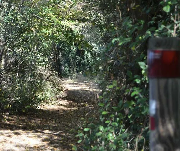 Casa Emma Villamarciel